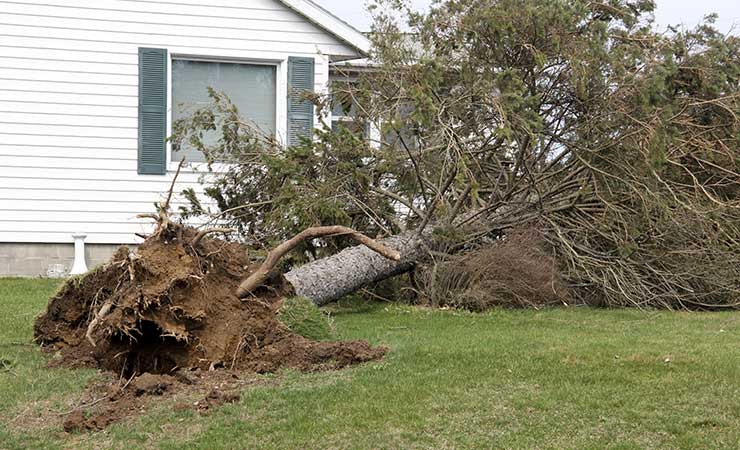 Storm Damage Repair Omaha NE