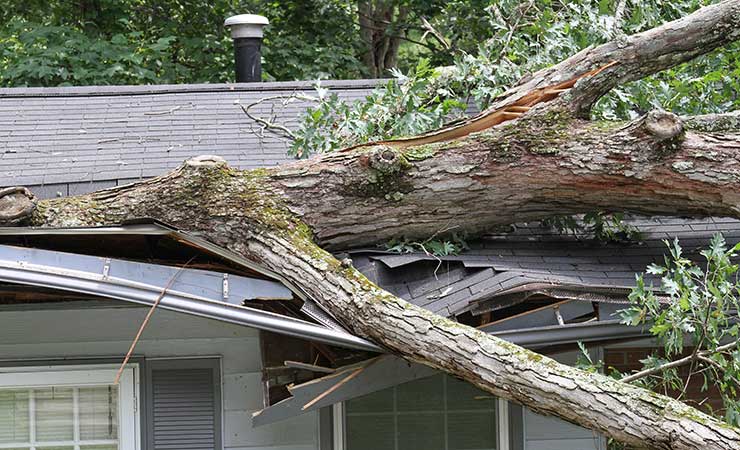 Storm Damage Assessment Omaha NE